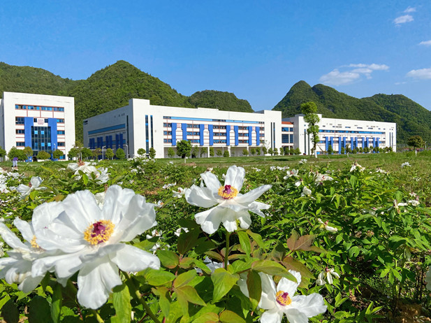 1690425521943022407.jpg 2.jpg